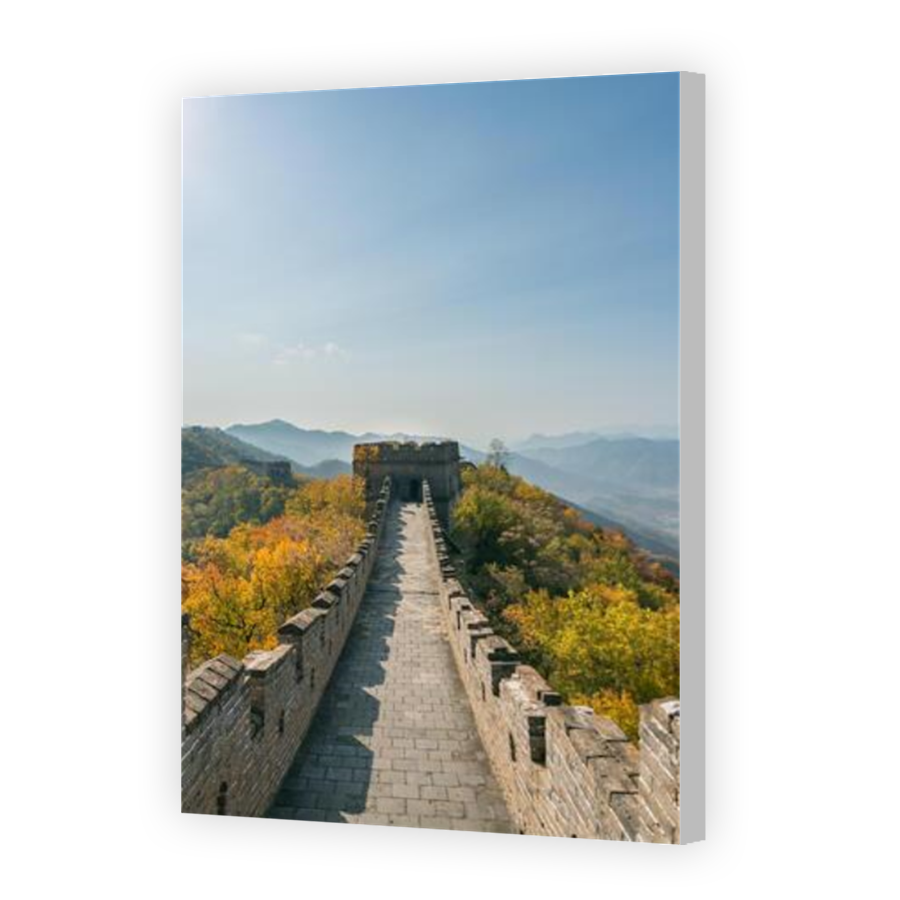 Thumbnail for Canvas - Coloured Canvas Wrap
