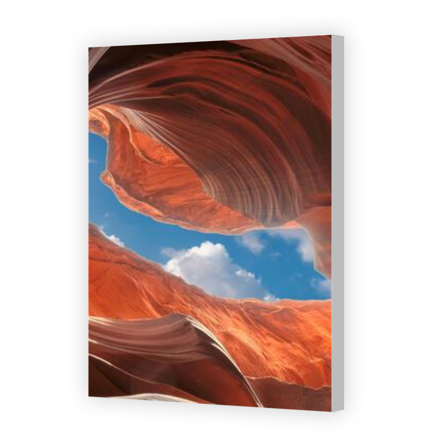 Thumbnail for Canvas - Coloured Canvas Wrap