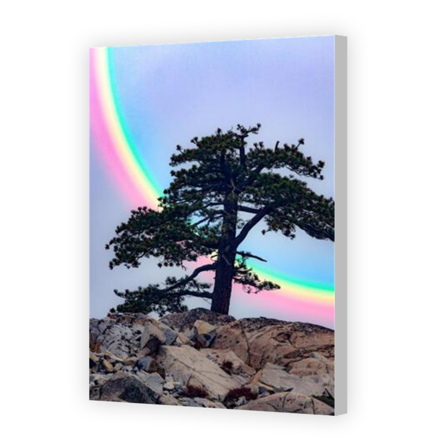 Thumbnail for Canvas - Coloured Canvas Wrap