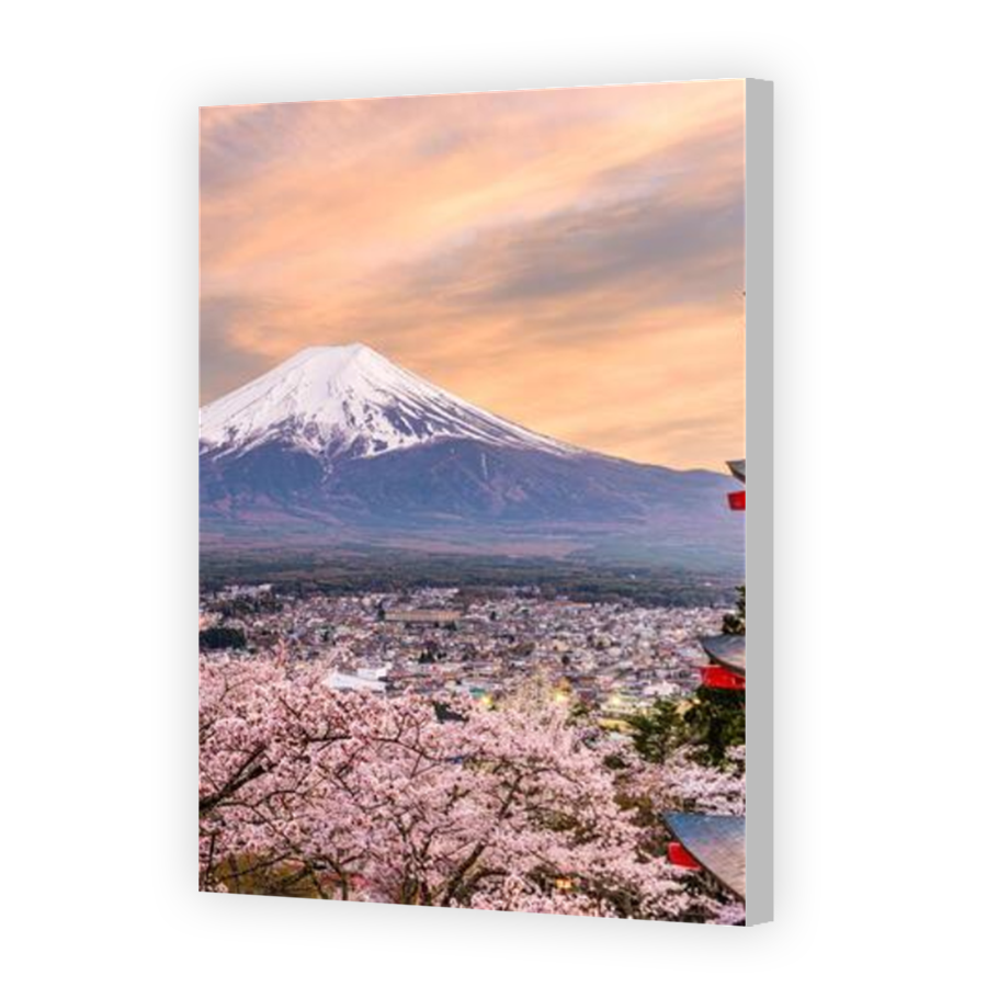 Thumbnail for Canvas - Coloured Canvas Wrap