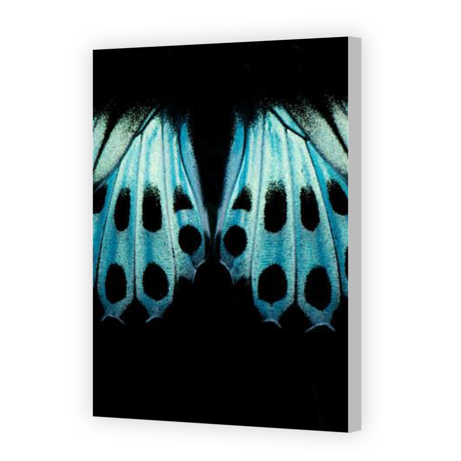 Thumbnail for Canvas - Coloured Canvas Wrap