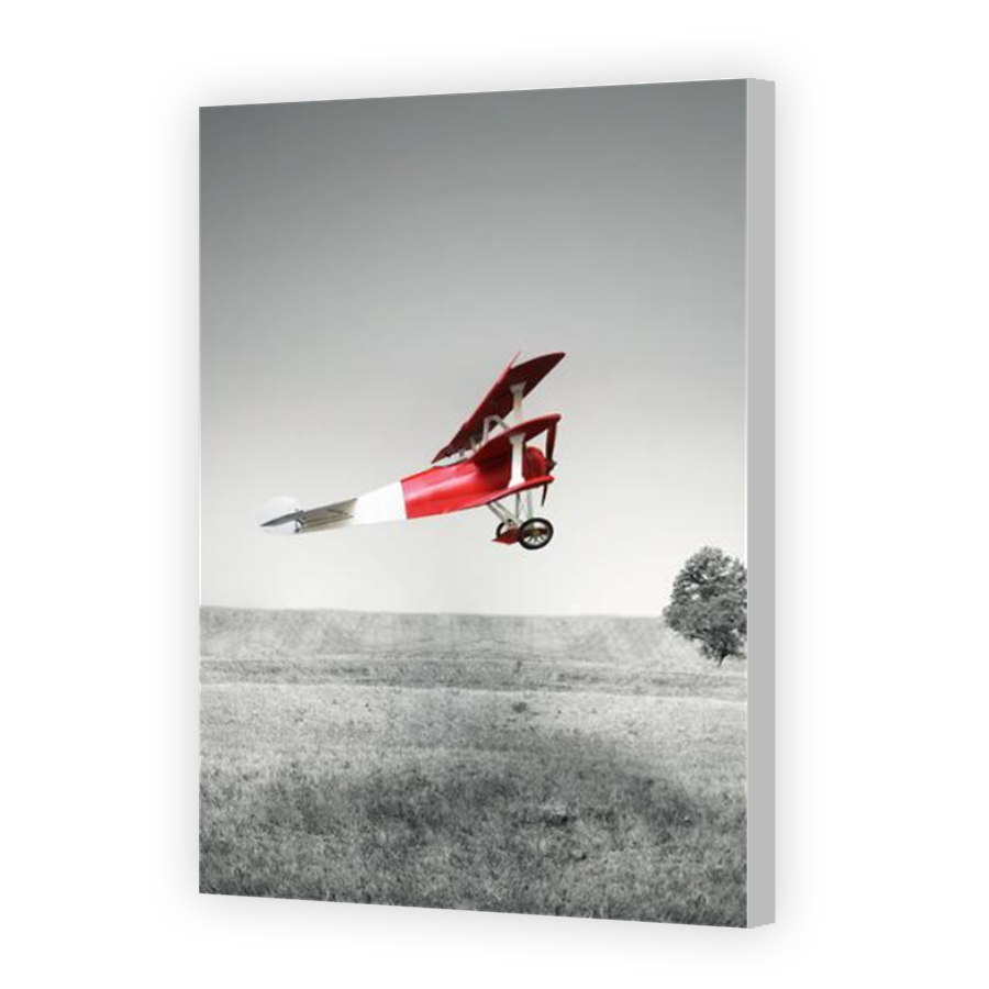 Thumbnail for Canvas - Coloured Canvas Wrap