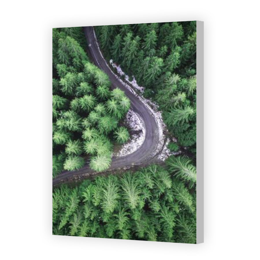 Thumbnail for Canvas - Coloured Canvas Wrap