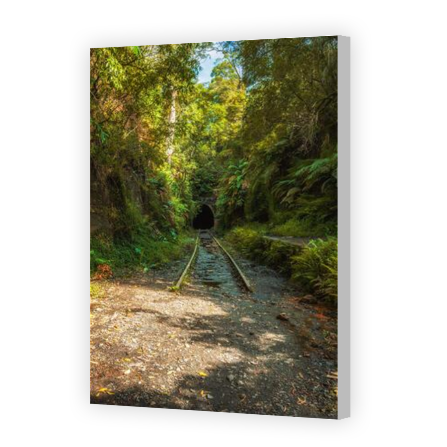 Thumbnail for Canvas - Coloured Canvas Wrap