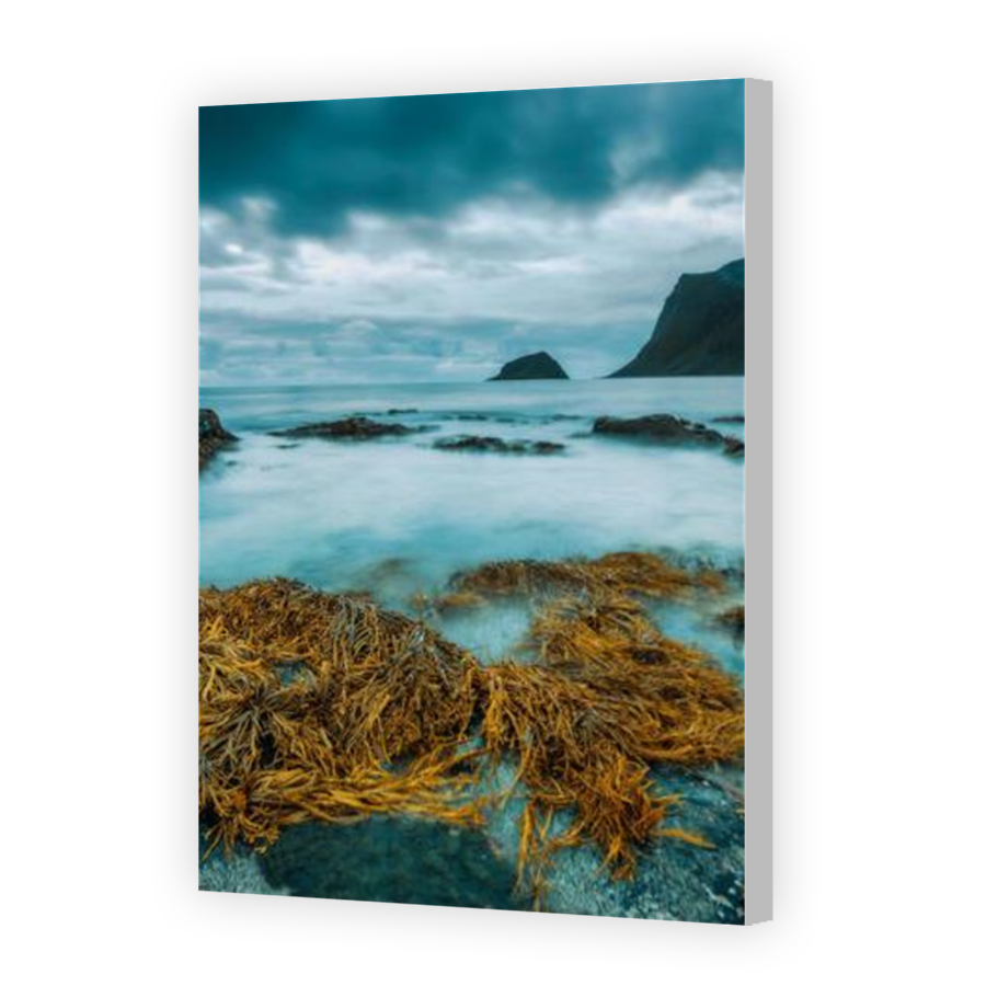 Thumbnail for Canvas - Coloured Canvas Wrap