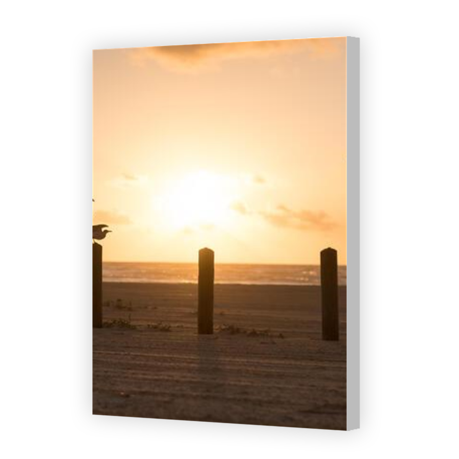 Thumbnail for Canvas - Coloured Canvas Wrap