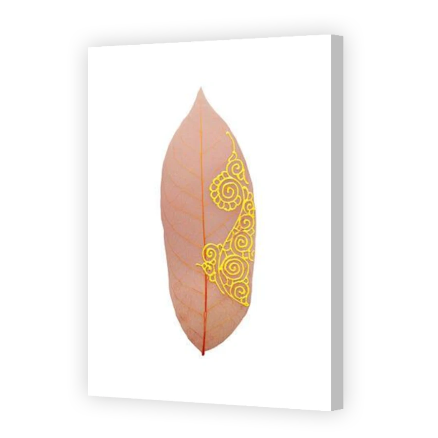 Thumbnail for Canvas - Coloured Canvas Wrap