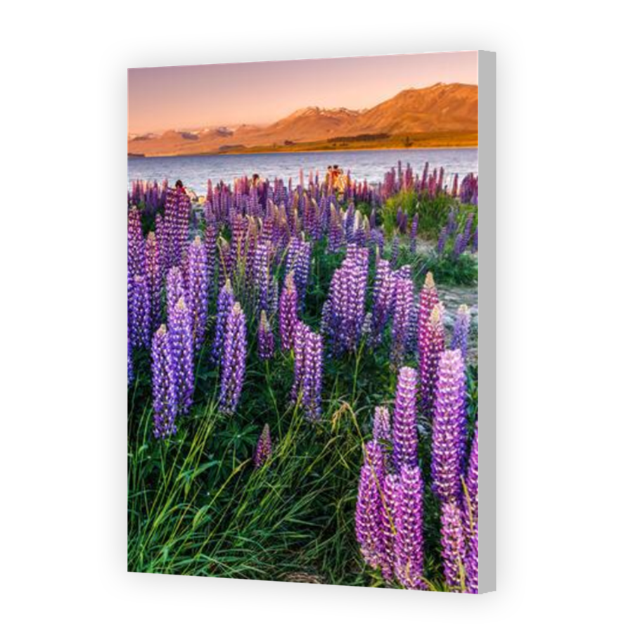 Thumbnail for Canvas - Coloured Canvas Wrap