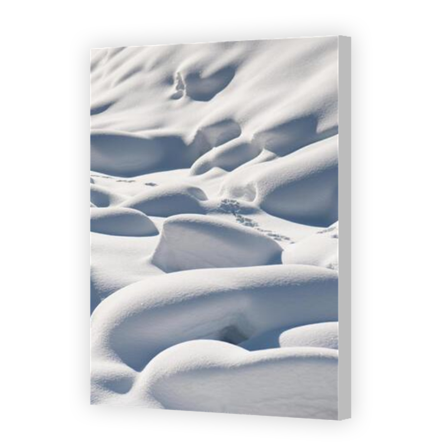 Thumbnail for Canvas - Coloured Canvas Wrap