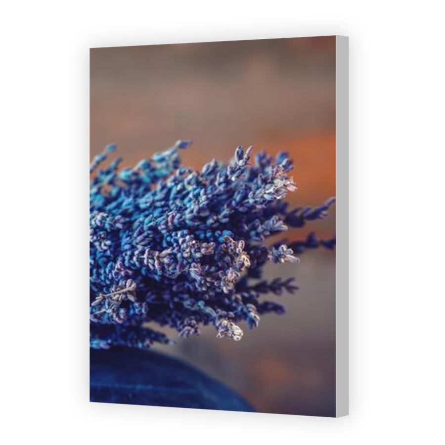 Thumbnail for Canvas - Coloured Canvas Wrap