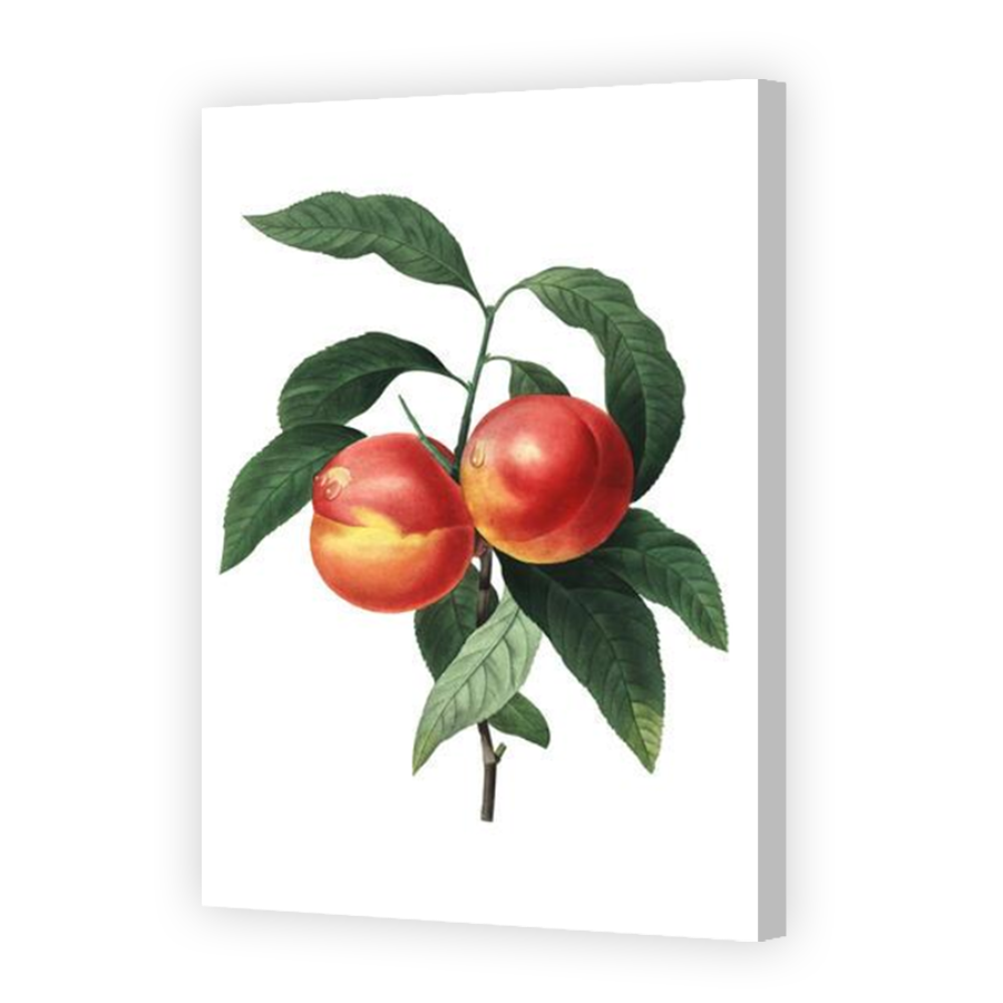 Thumbnail for Canvas - Coloured Canvas Wrap