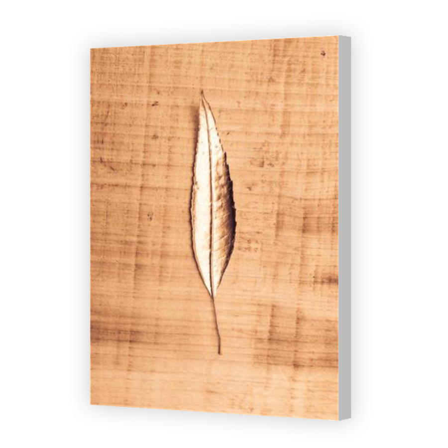 Thumbnail for Canvas - Coloured Canvas Wrap