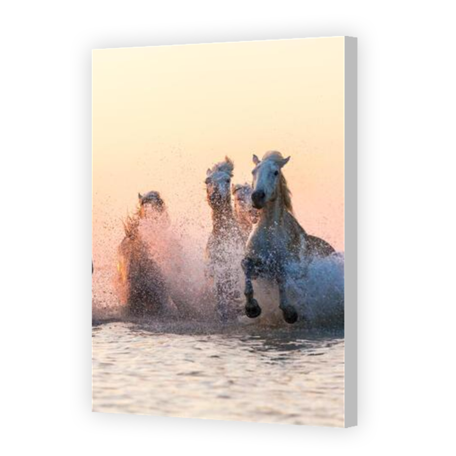 Thumbnail for Canvas - Coloured Canvas Wrap