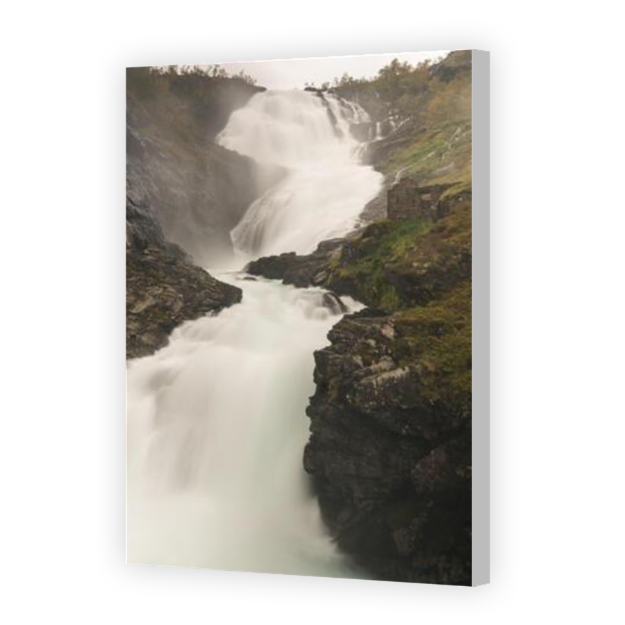 Thumbnail for Canvas - Coloured Canvas Wrap