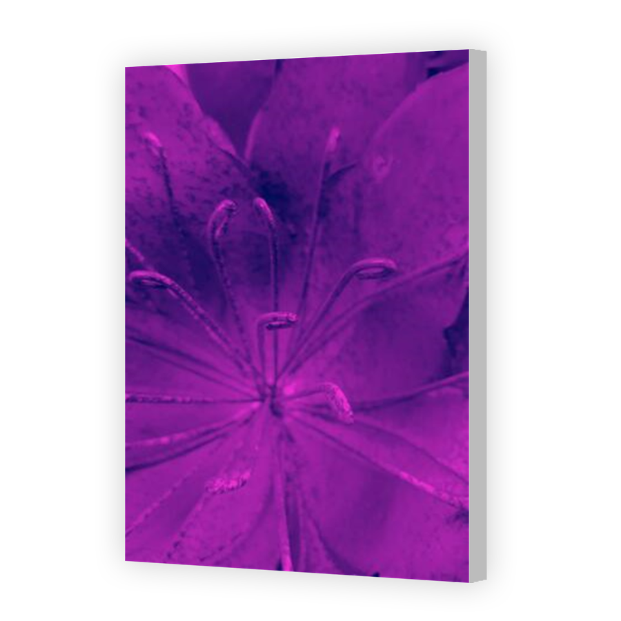 Thumbnail for Canvas - Coloured Canvas Wrap