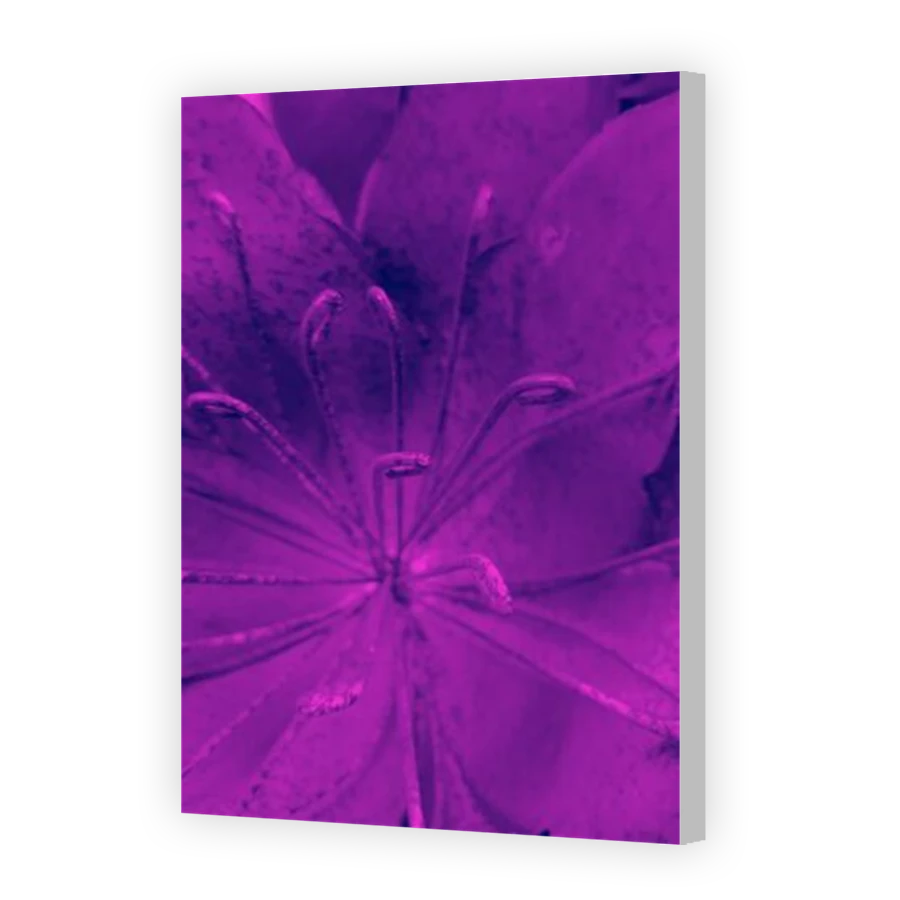 Thumbnail for Canvas - Coloured Canvas Wrap