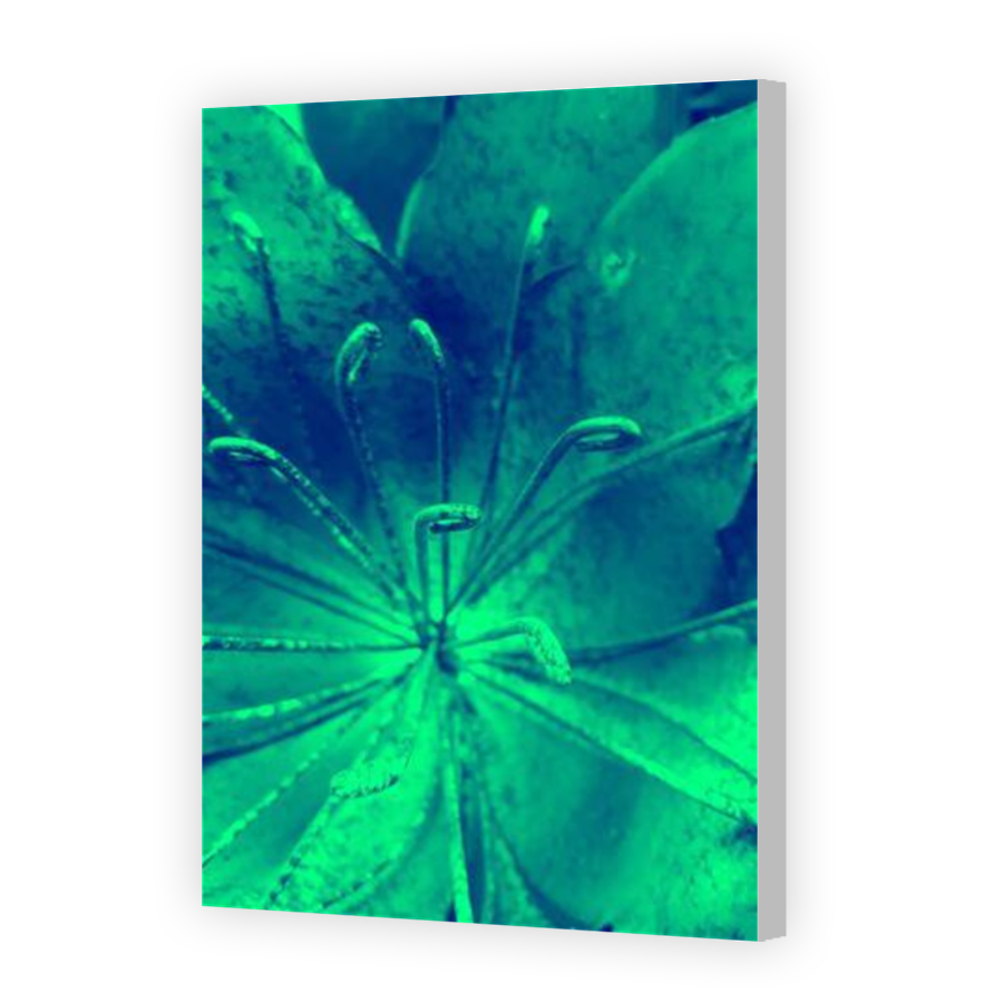 Thumbnail for Canvas - Coloured Canvas Wrap