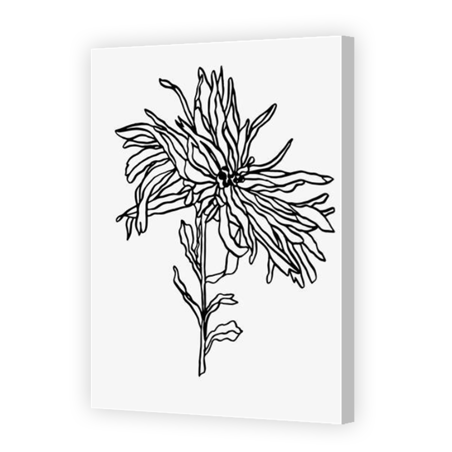 Thumbnail for Canvas - Coloured Canvas Wrap