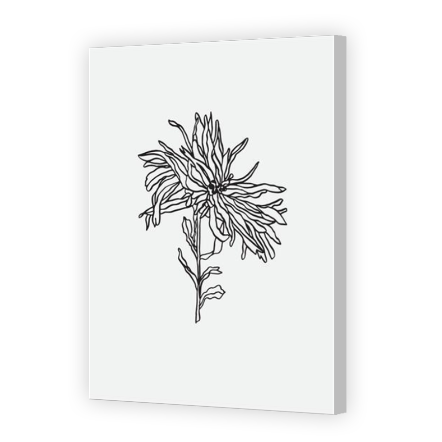 Thumbnail for Canvas - Coloured Canvas Wrap