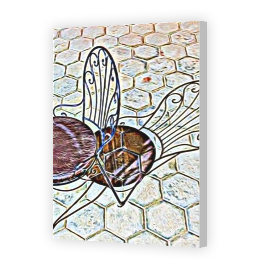 Thumbnail for Canvas - Coloured Canvas Wrap