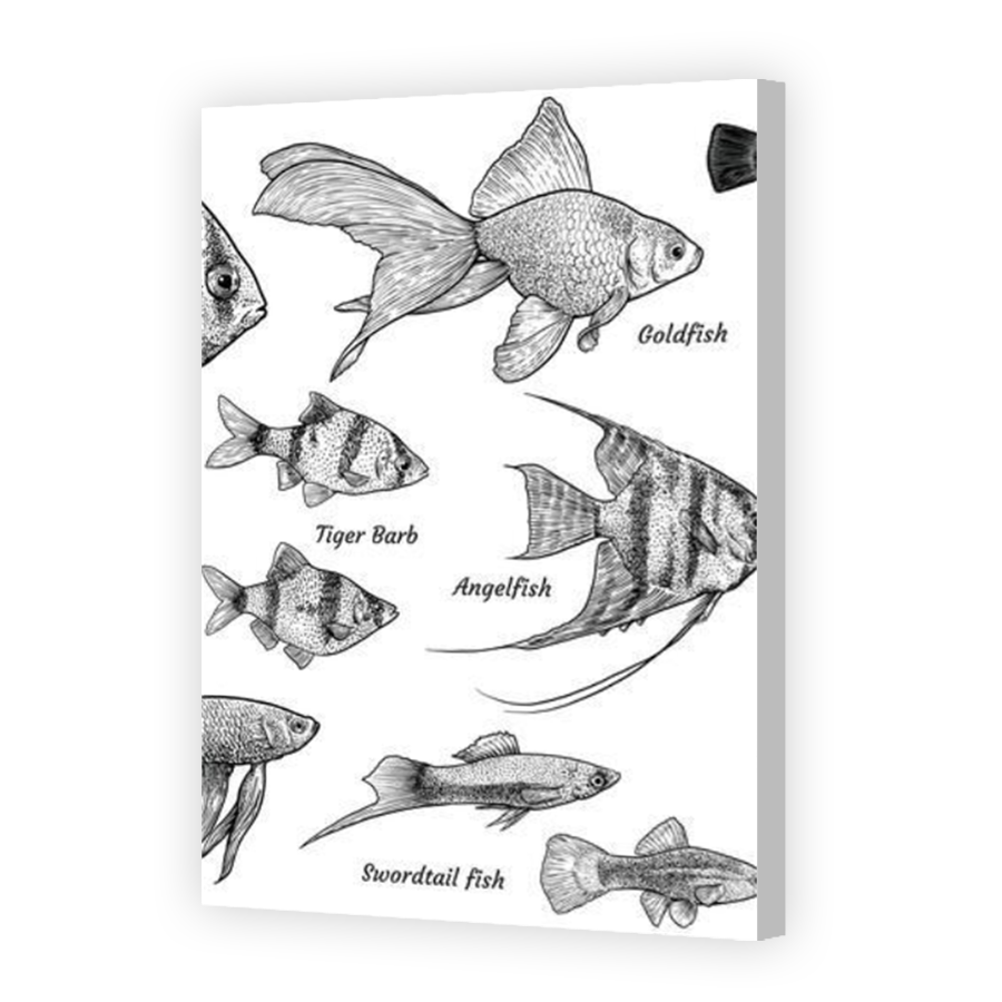 Thumbnail for Canvas - Coloured Canvas Wrap