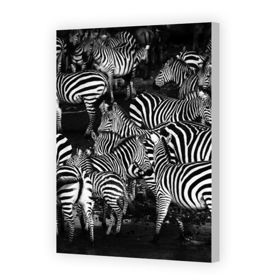 Thumbnail for Canvas - Coloured Canvas Wrap