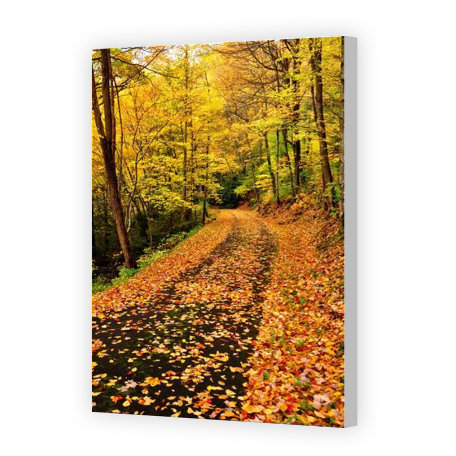 Thumbnail for Canvas - Coloured Canvas Wrap