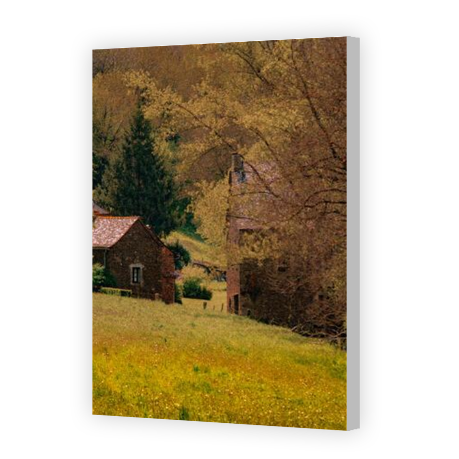 Thumbnail for Canvas - Coloured Canvas Wrap