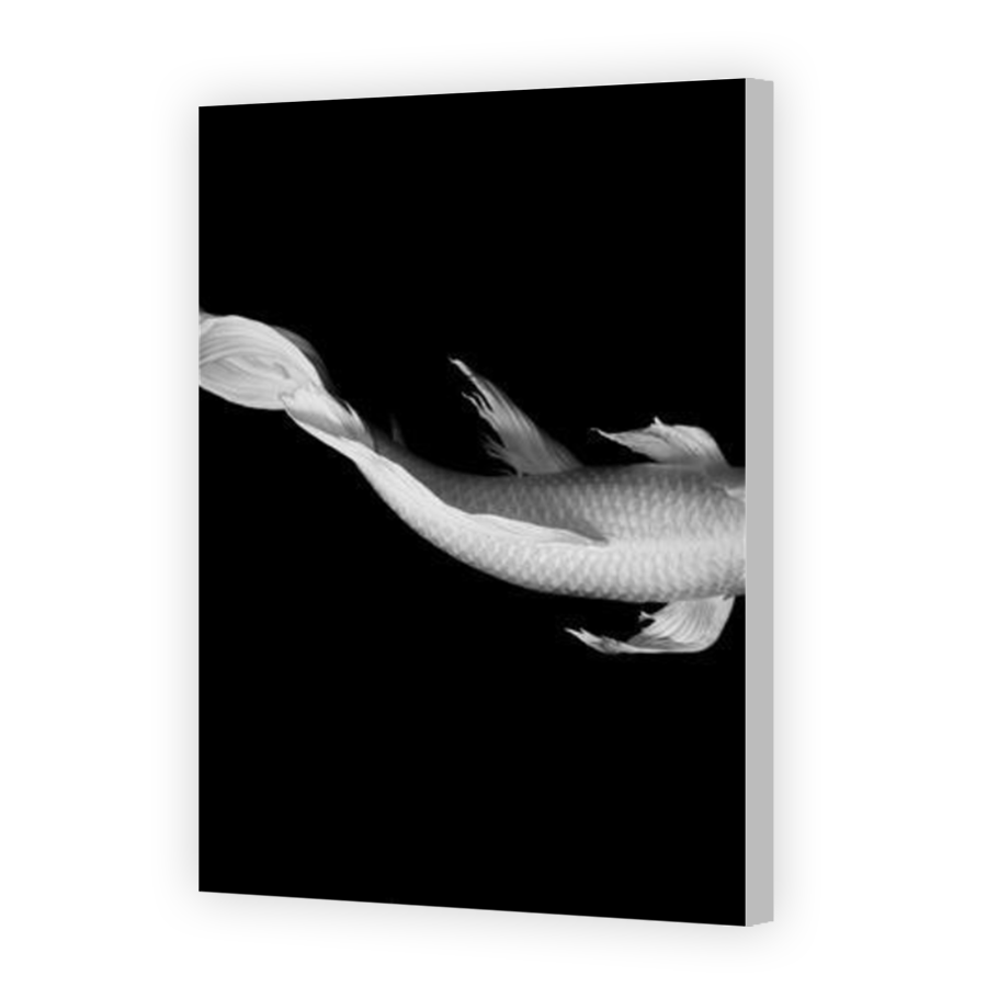 Thumbnail for Canvas - Coloured Canvas Wrap