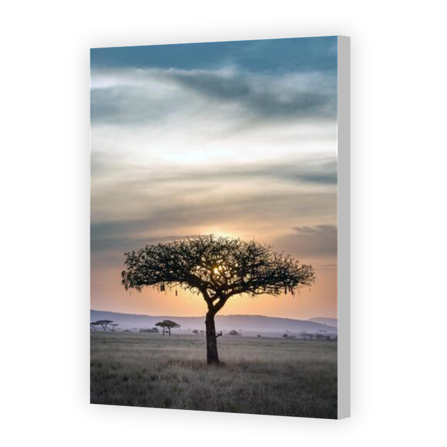 Thumbnail for Canvas - Coloured Canvas Wrap