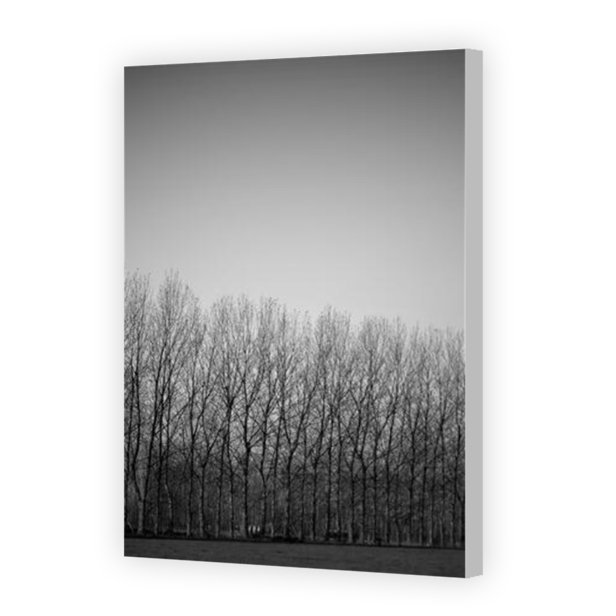 Thumbnail for Canvas - Coloured Canvas Wrap