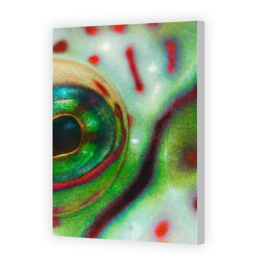 Thumbnail for Canvas - Coloured Canvas Wrap