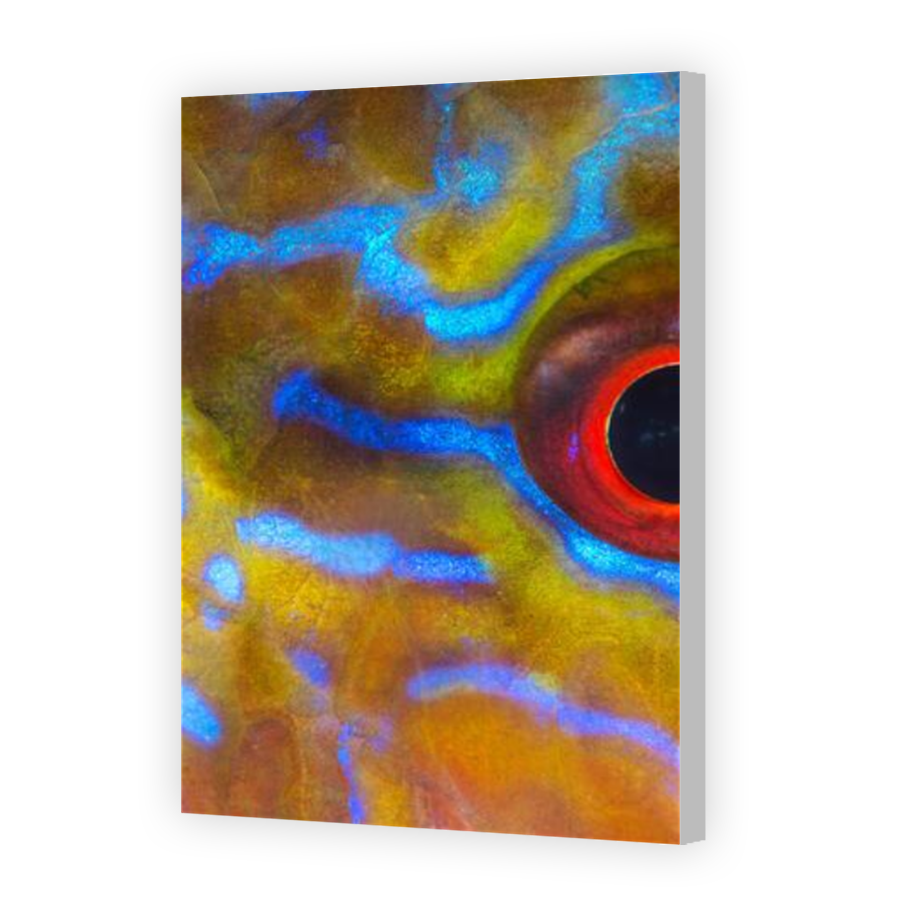 Thumbnail for Canvas - Coloured Canvas Wrap