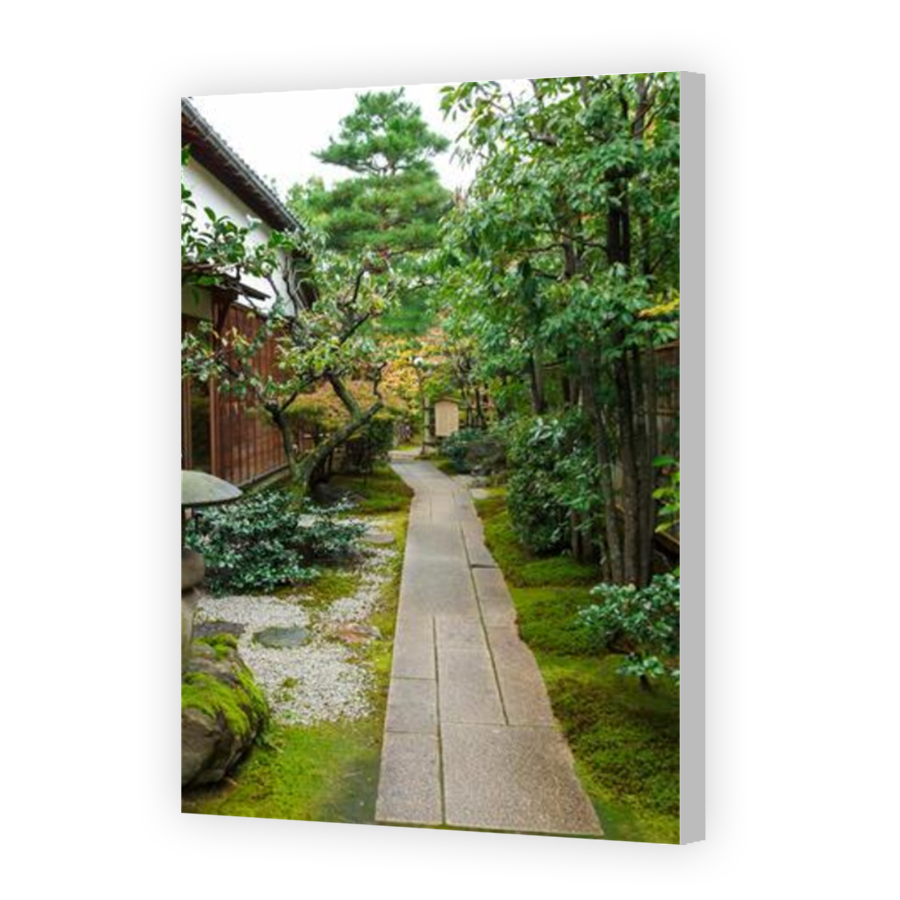 Thumbnail for Canvas - Coloured Canvas Wrap