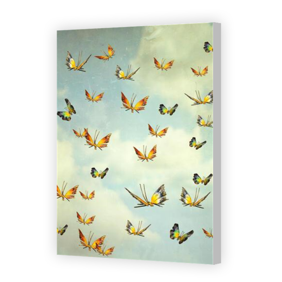 Thumbnail for Canvas - Coloured Canvas Wrap