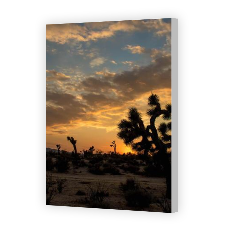 Thumbnail for Canvas - Coloured Canvas Wrap
