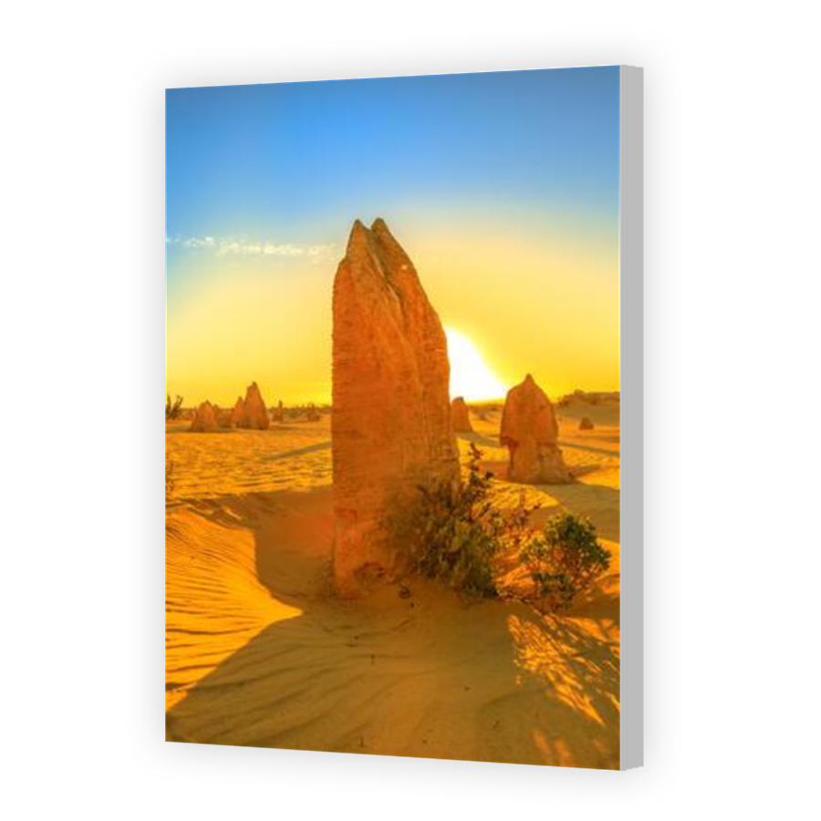 Thumbnail for Canvas - Coloured Canvas Wrap