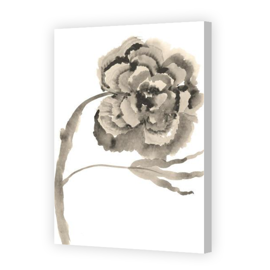 Thumbnail for Canvas - Coloured Canvas Wrap