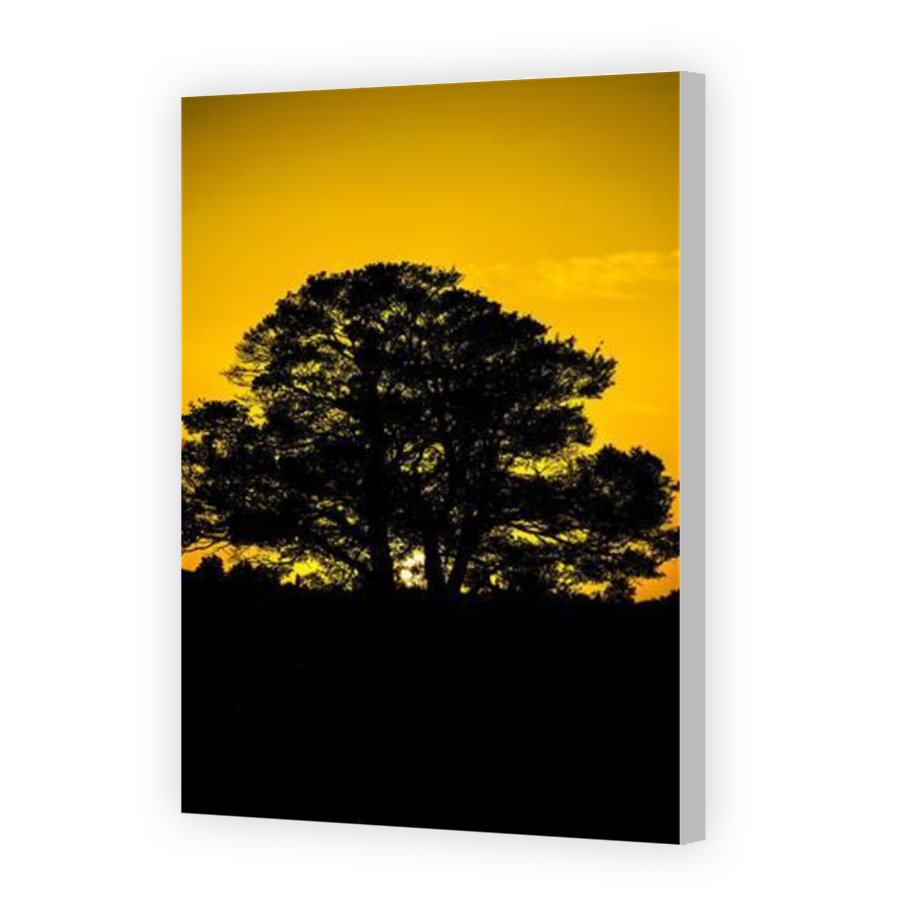 Thumbnail for Canvas - Coloured Canvas Wrap