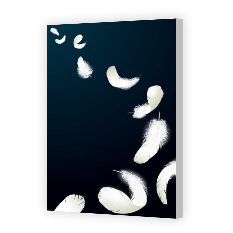 Thumbnail for Canvas - Coloured Canvas Wrap
