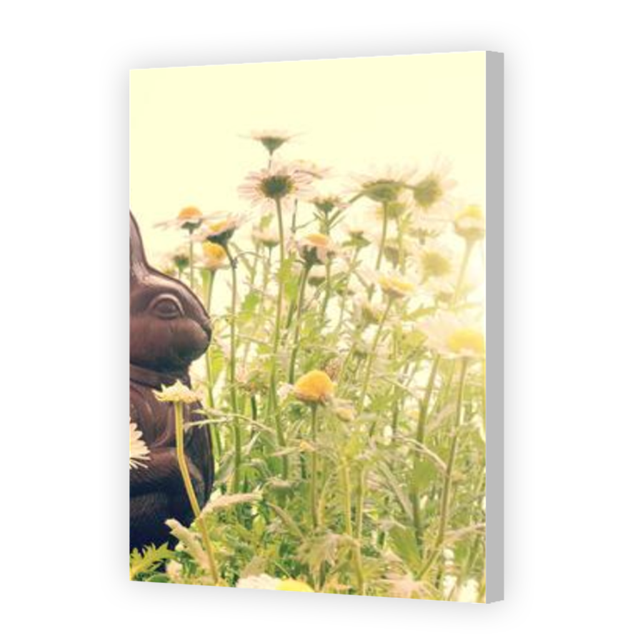 Thumbnail for Canvas - Coloured Canvas Wrap
