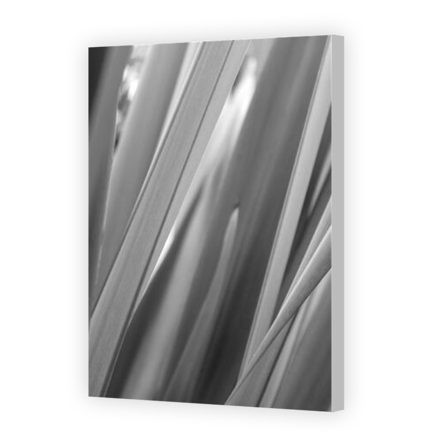 Thumbnail for Canvas - Coloured Canvas Wrap