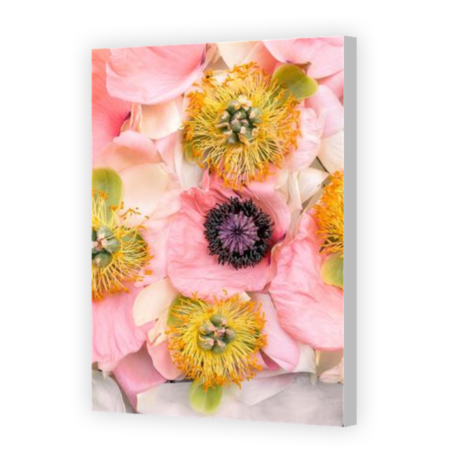 Thumbnail for Canvas - Coloured Canvas Wrap