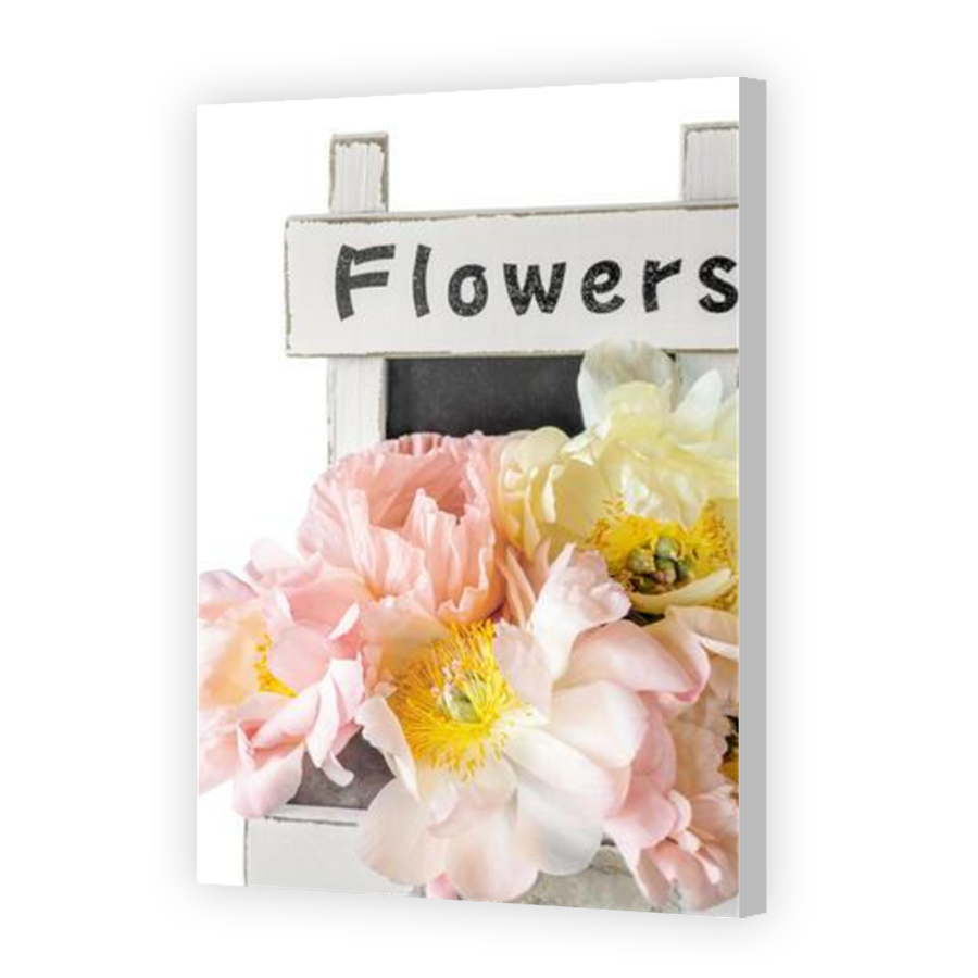 Thumbnail for Canvas - Coloured Canvas Wrap