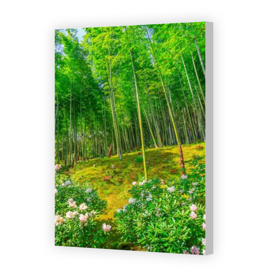 Thumbnail for Canvas - Coloured Canvas Wrap