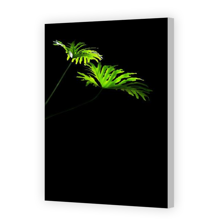 Thumbnail for Canvas - Coloured Canvas Wrap