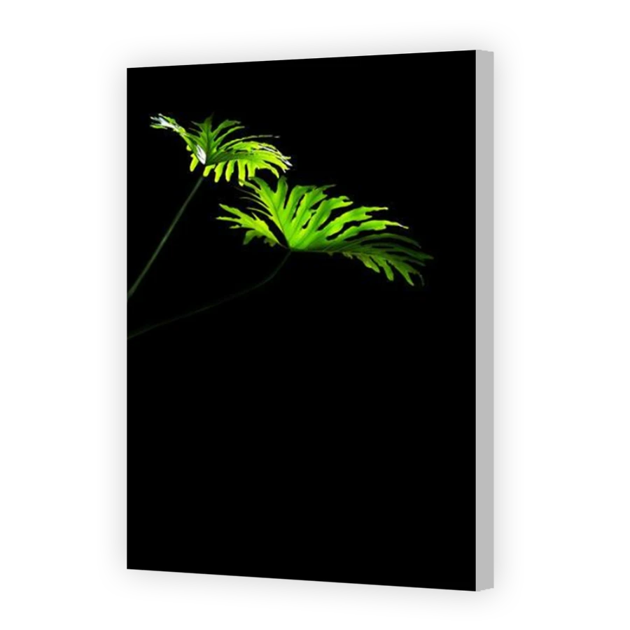 Thumbnail for Canvas - Coloured Canvas Wrap