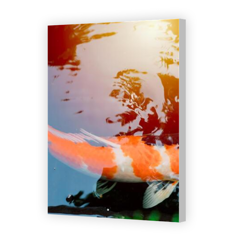 Thumbnail for Canvas - Coloured Canvas Wrap