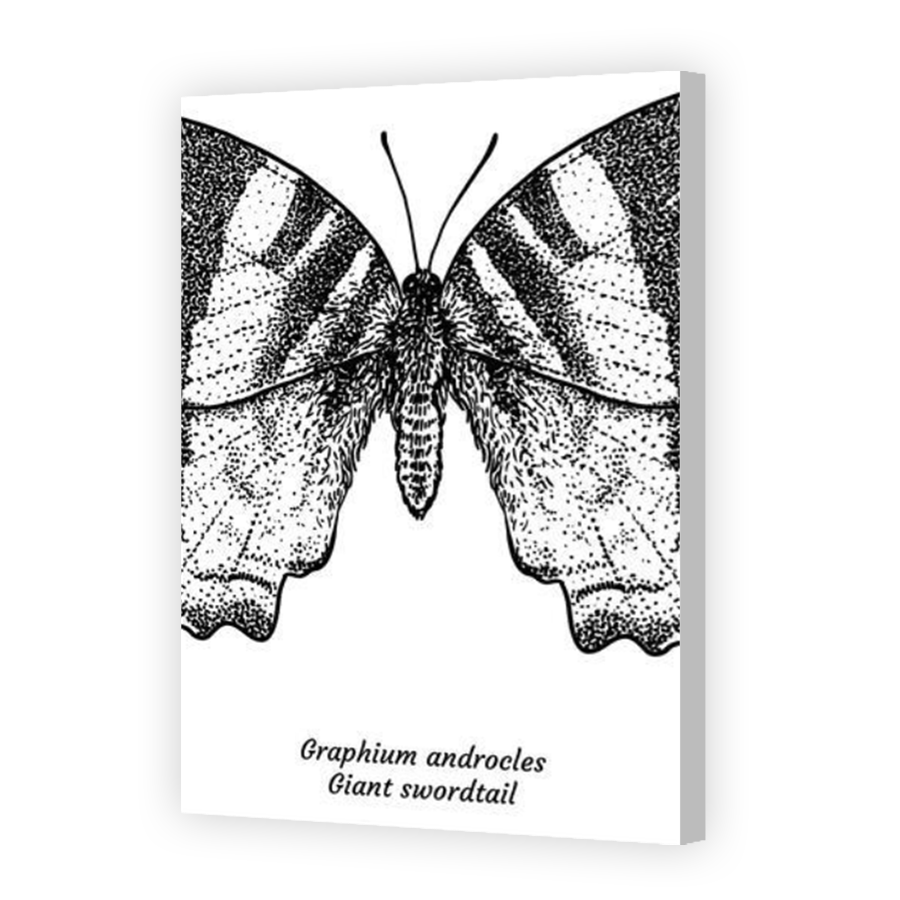 Thumbnail for Canvas - Coloured Canvas Wrap