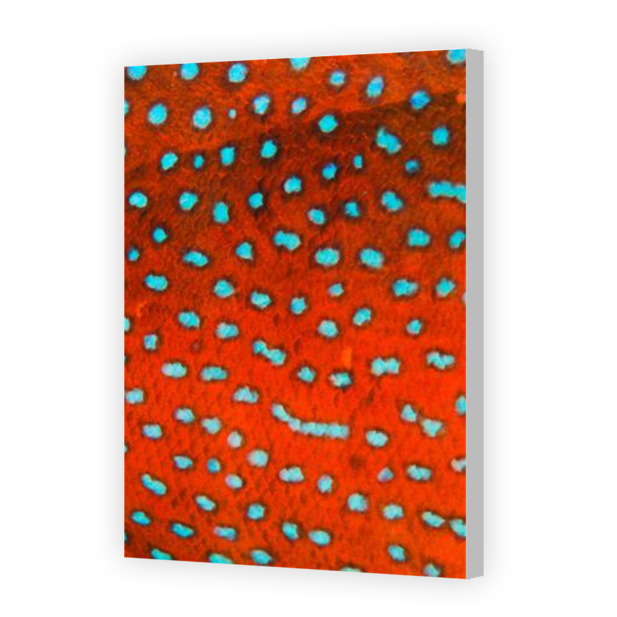 Thumbnail for Canvas - Coloured Canvas Wrap